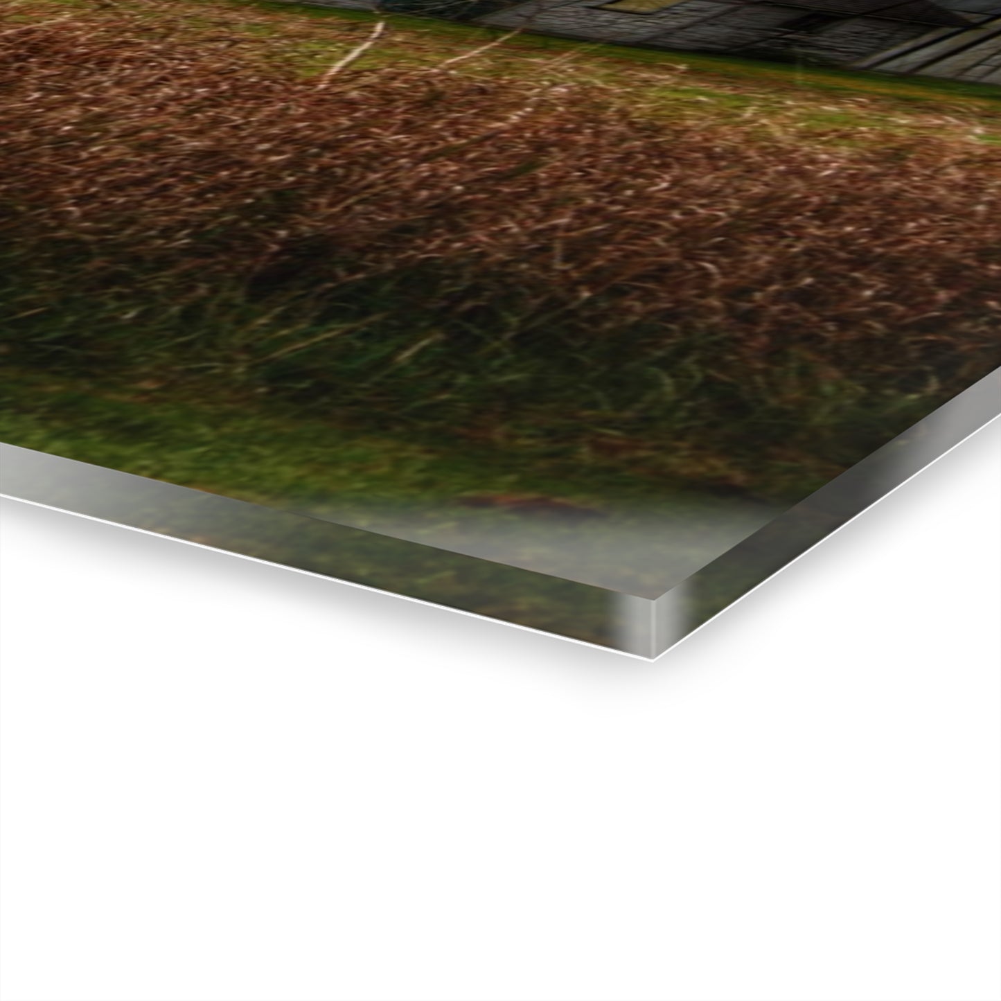 U R There Photography Farnsworth Road White Rustic Farmhouse Acrylic Wall Print