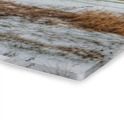 U R There Photography Frenchline Road Red Shack Rustic Farmhouse Acrylic Wall Print