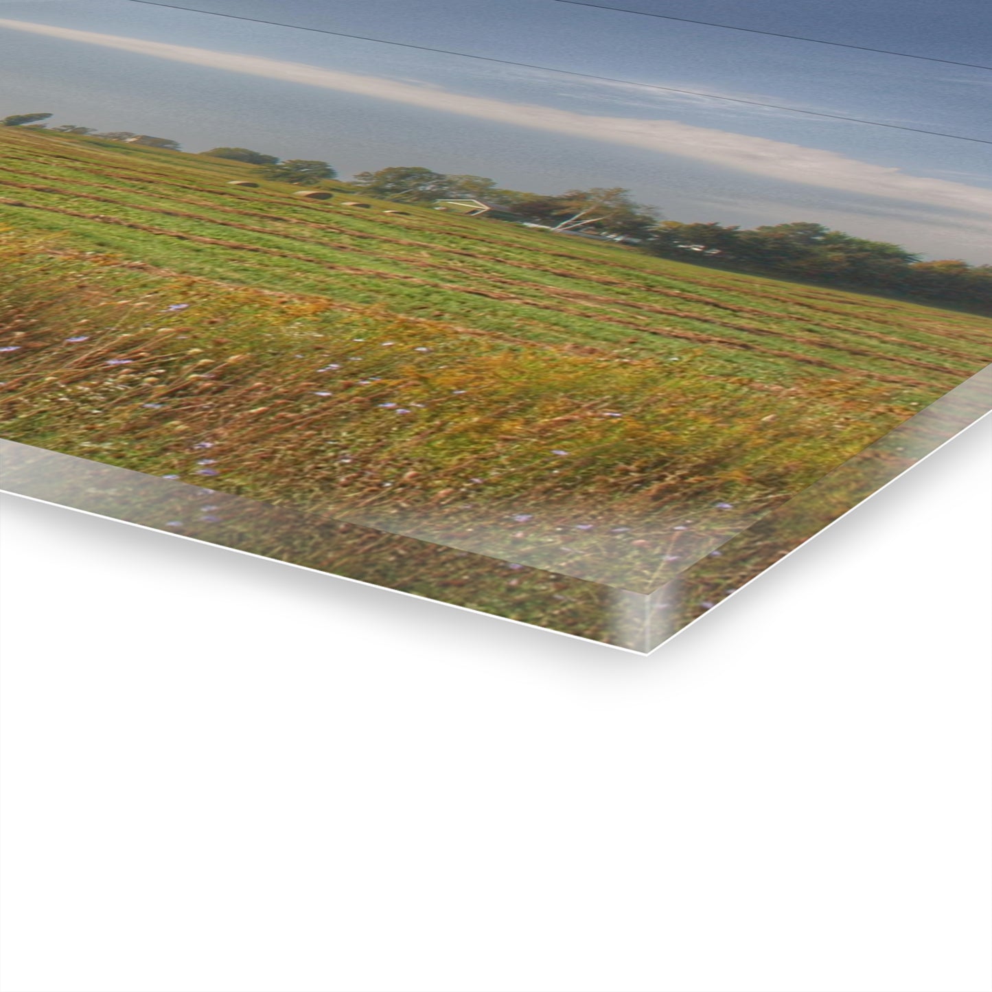 U R There Photography Farm Across the Field Rustic Farmhouse Acrylic Wall Print