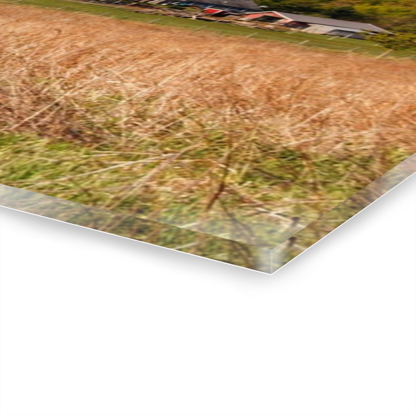 U R There Photography East Millington Road Farm Rustic Farmhouse Acrylic Wall Print