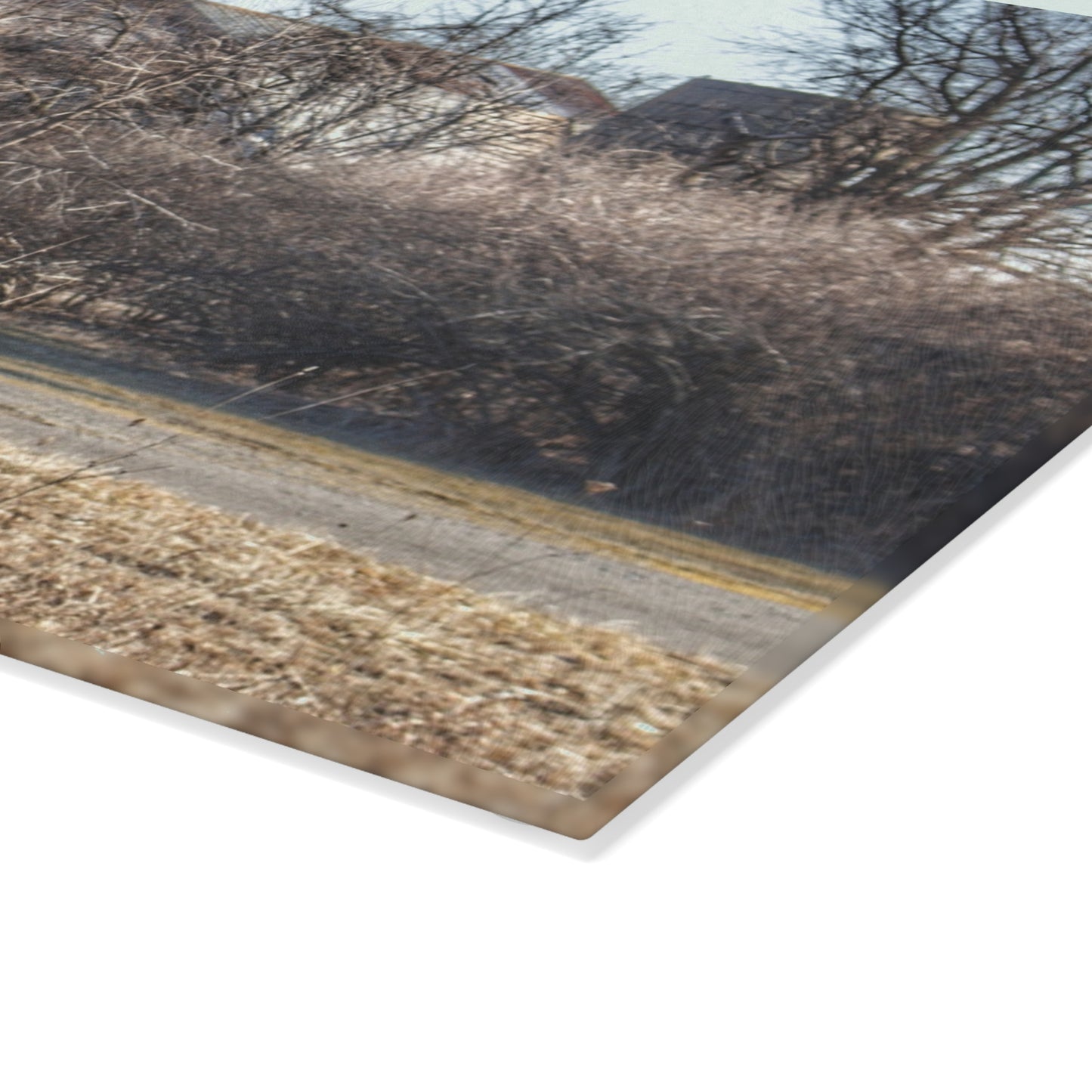 U R There Photography Weyer Road Hidden Rustic Farmhouse Tempered-Glass Cutting Board