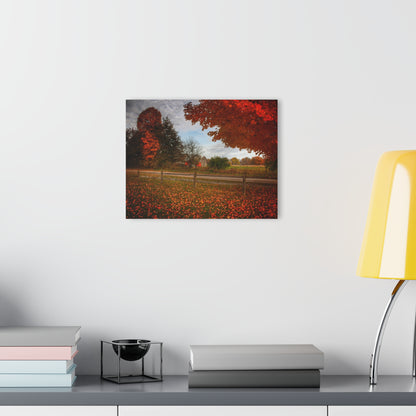 U R There Photography East Frances Road Hidden Grey II Rustic Farmhouse Acrylic Wall Print