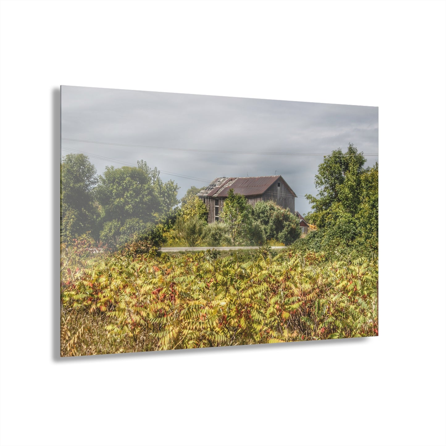 U R There Photography Van Dyke Grey Rustic Farmhouse Acrylic Wall Print
