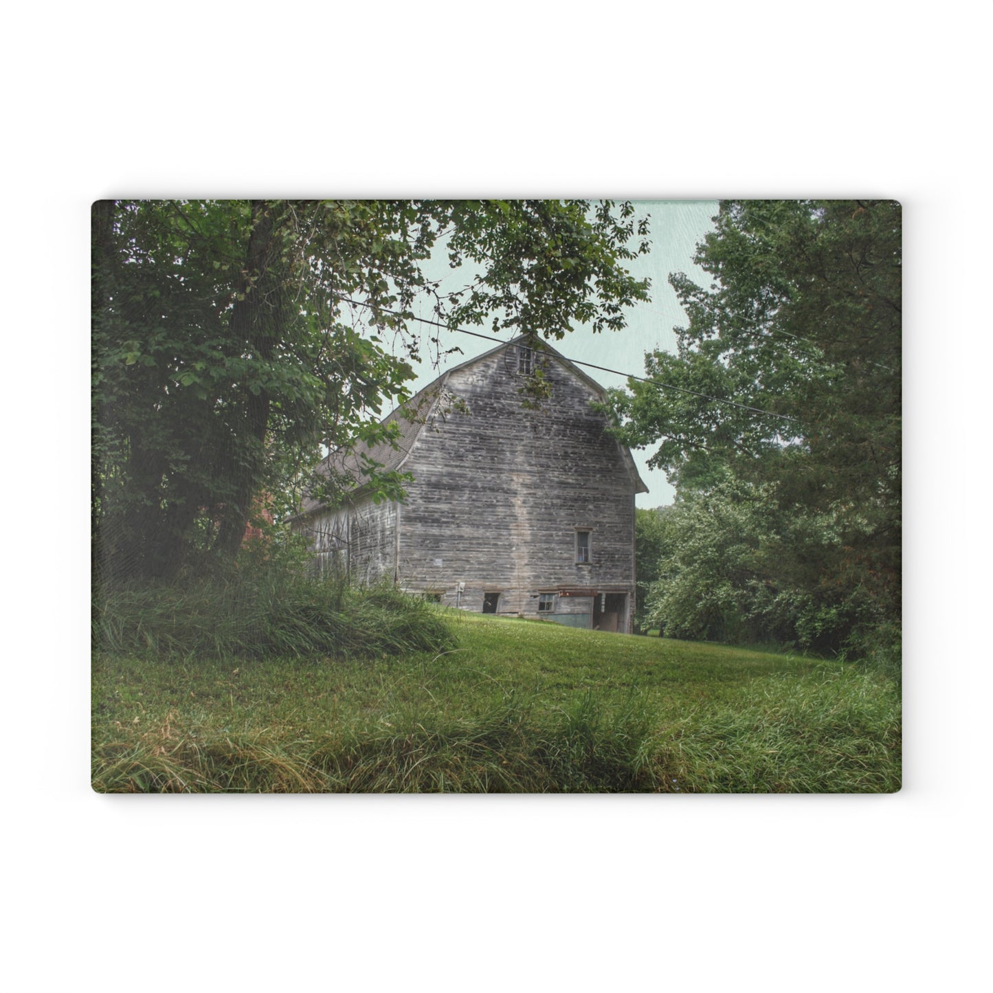 U R There Photography Snell Grey Rustic Farmhouse Tempered-Glass Cutting Board
