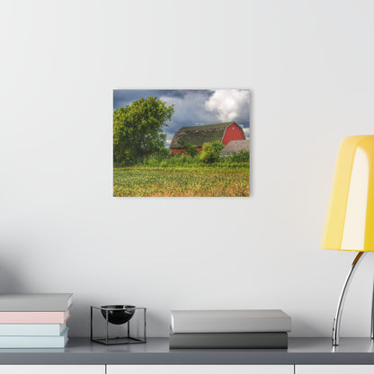 Barn Boutique Modern Farmhouse Acrylic Wall Print| Shelby Red IV