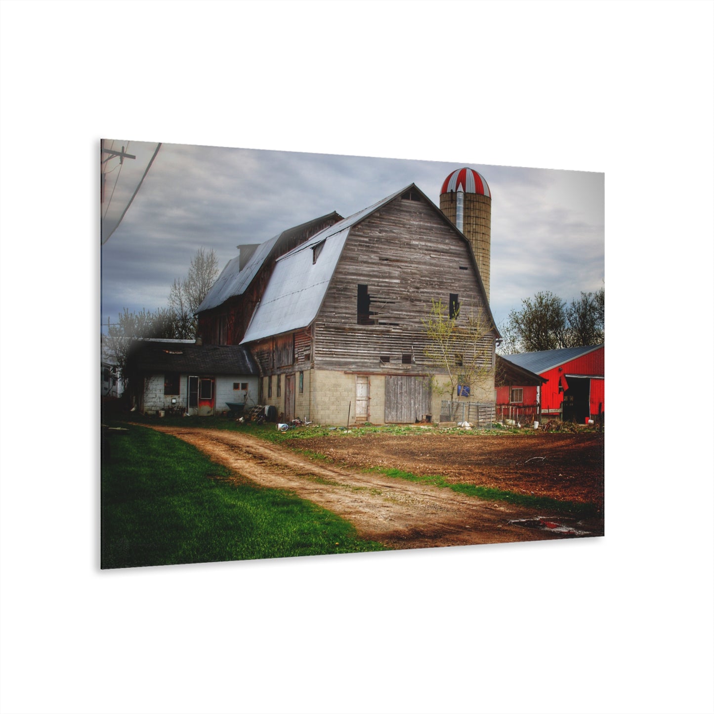 U R There Photography Murphy Lake Road Grey l Rustic Farmhouse Acrylic Wall Print