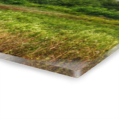 U R There Photography Frankford Road Grey Rustic Farmhouse Acrylic Wall Print