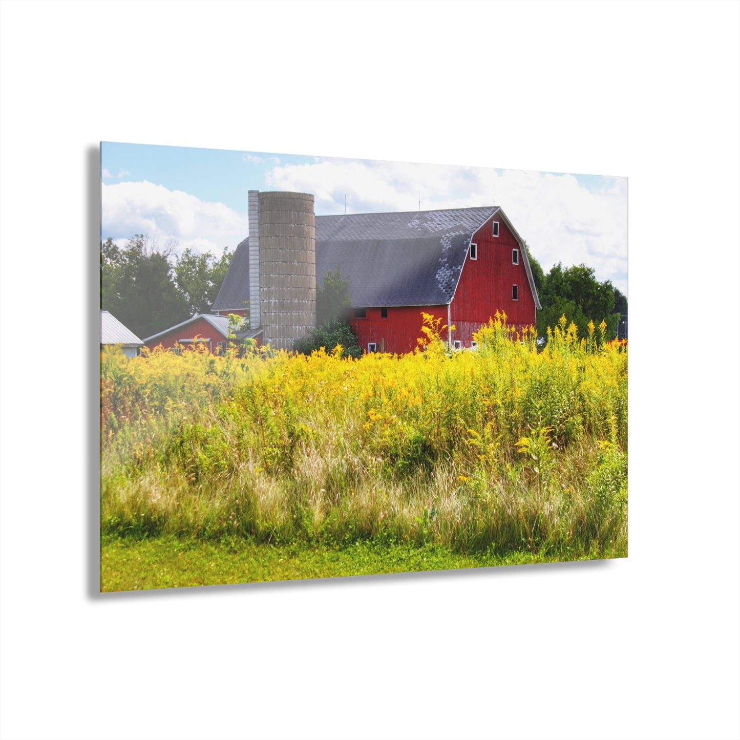 U R There Photography Starr Court Red II Rustic Farmhouse Acrylic Wall Print