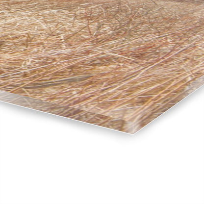 U R There Photography Hough Road Hidden Reds Rustic Farmhouse Acrylic Wall Print