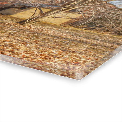 U R There Photography Millington Road Collapsing Red Rustic Farmhouse Acrylic Wall Print