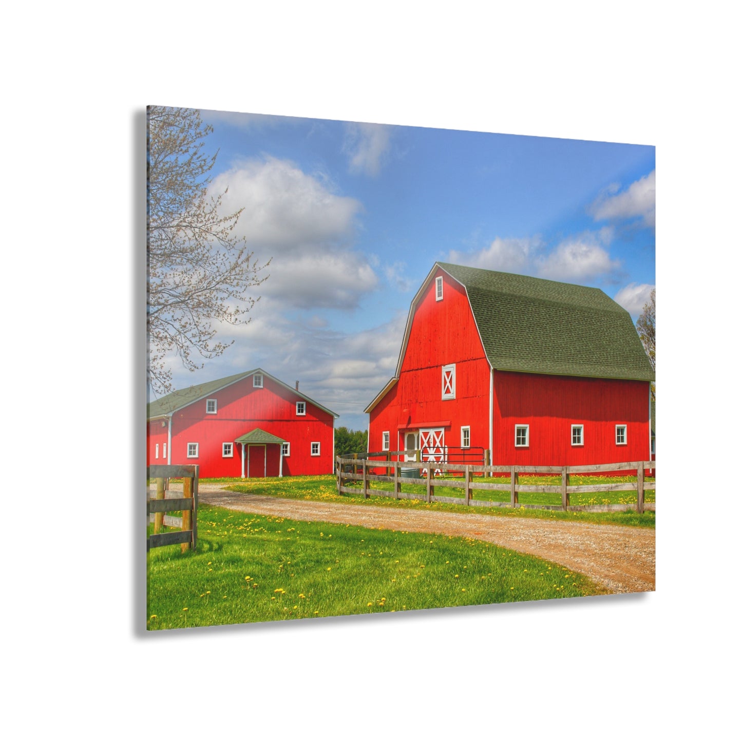 U R There Photography Sohn Road Reds Rustic Farmhouse Acrylic Wall Print