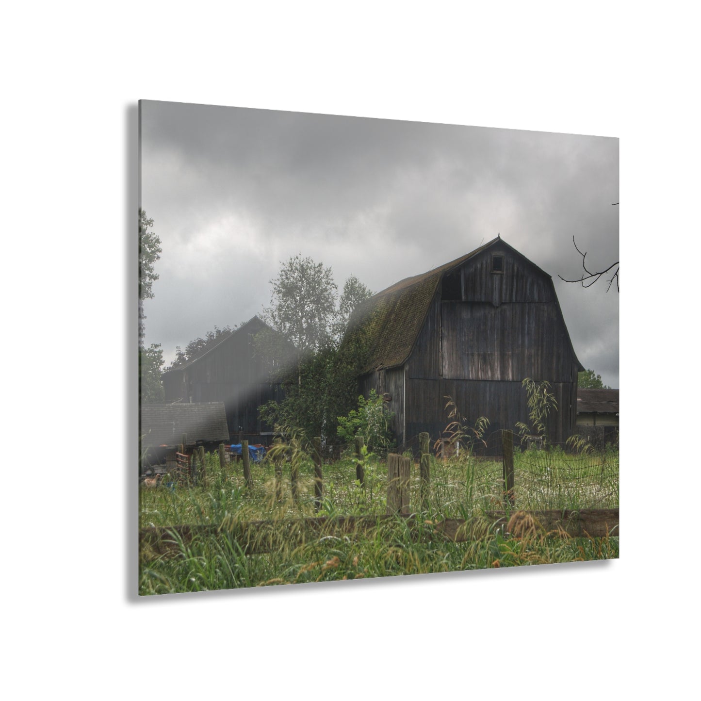 U R There Photography Greys of Summer Road Rustic Farmhouse Acrylic Wall Print