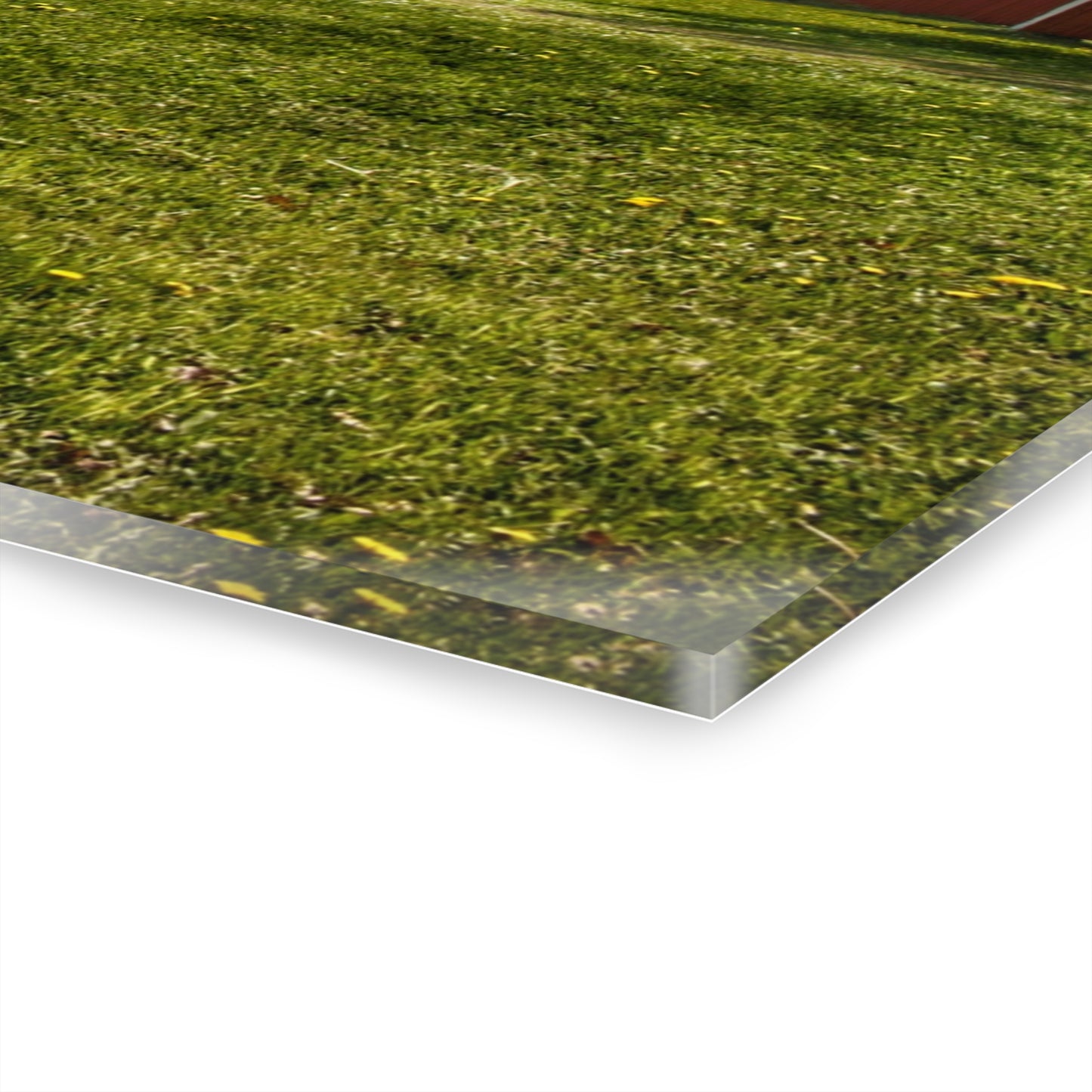 U R There Photography Maple Leaf Road Red Rustic Farmhouse Acrylic Wall Print