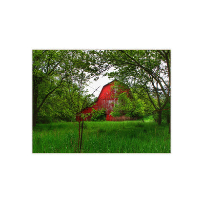 U R There Photography Bird Road Red Rustic Farmhouse Decorative Ceramic Tile
