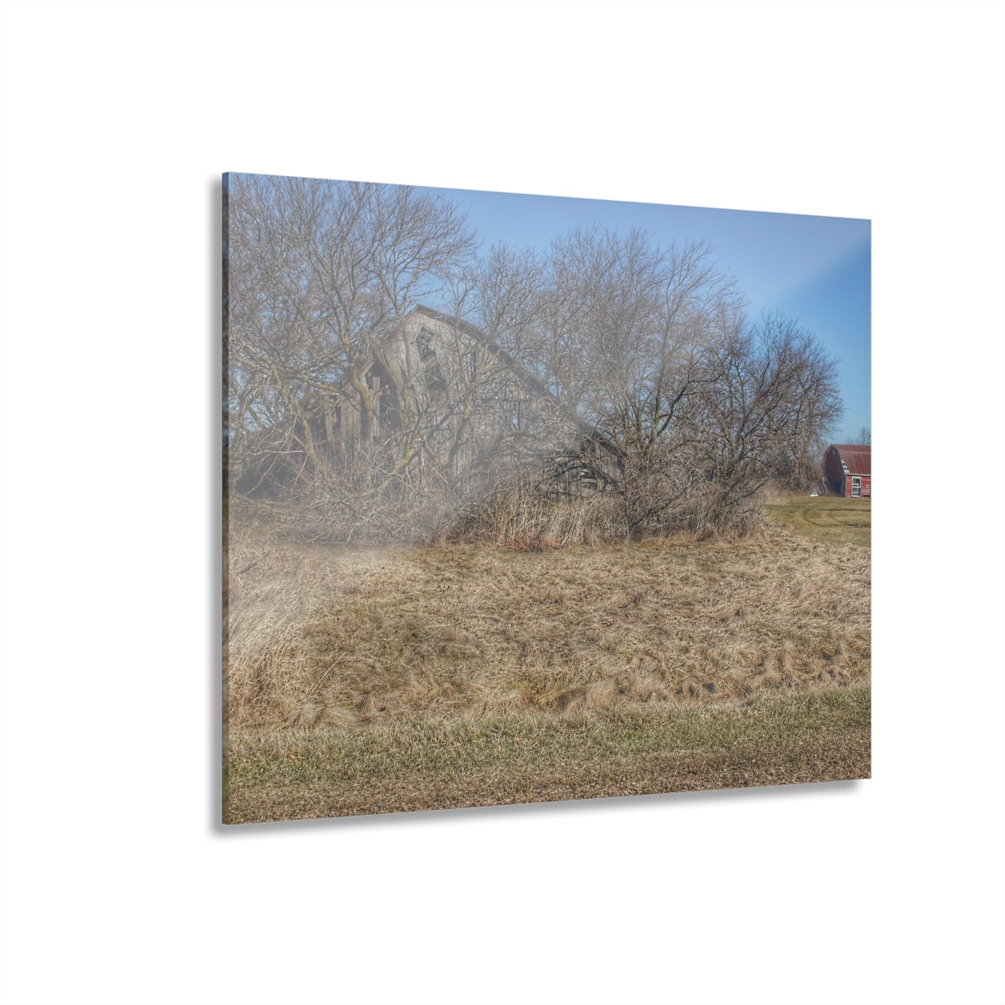 U R There Photography Fargo Road Forgotten Rustic Farmhouse Acrylic Wall Print