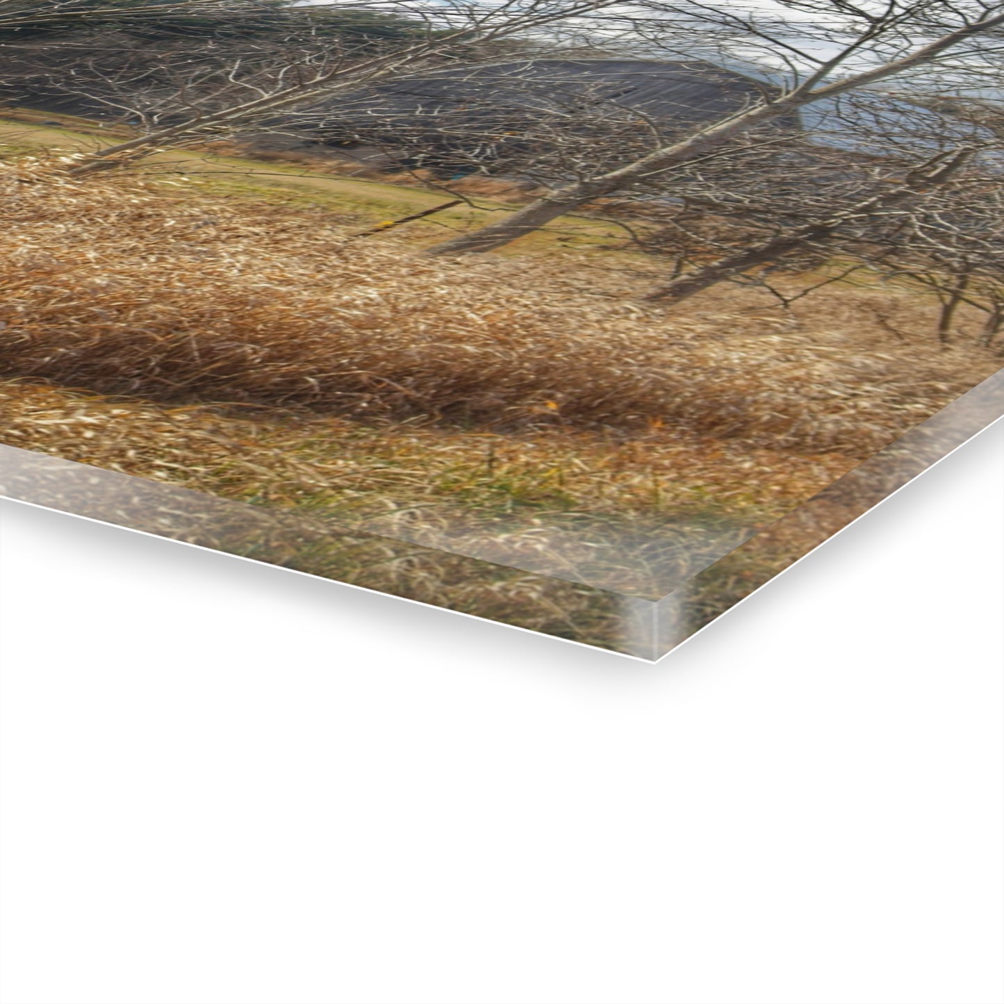 U R There Photography Speaker Road Hidden Grey Rustic Farmhouse Acrylic Wall Print