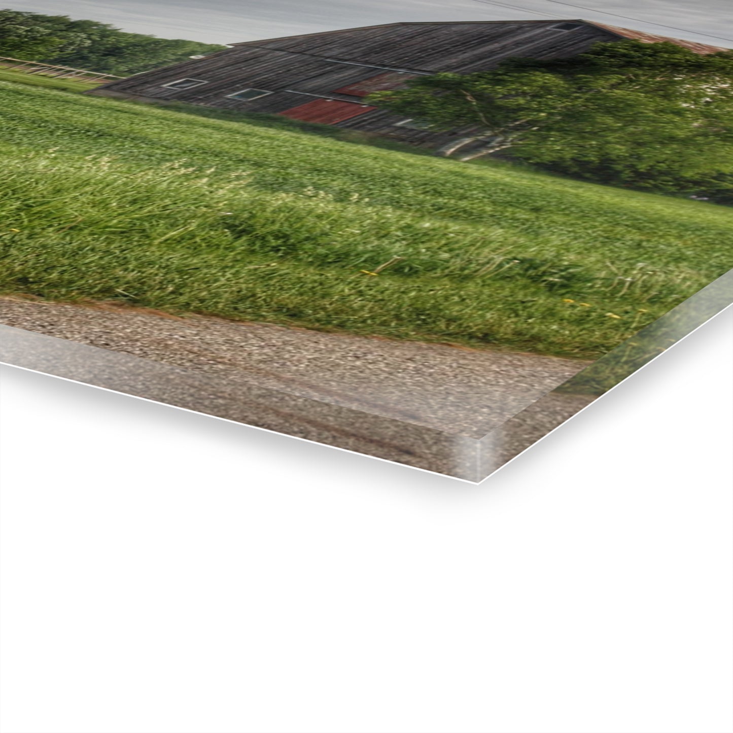 U R There Photography Barkley Road Trio Rustic Farmhouse Acrylic Wall Print