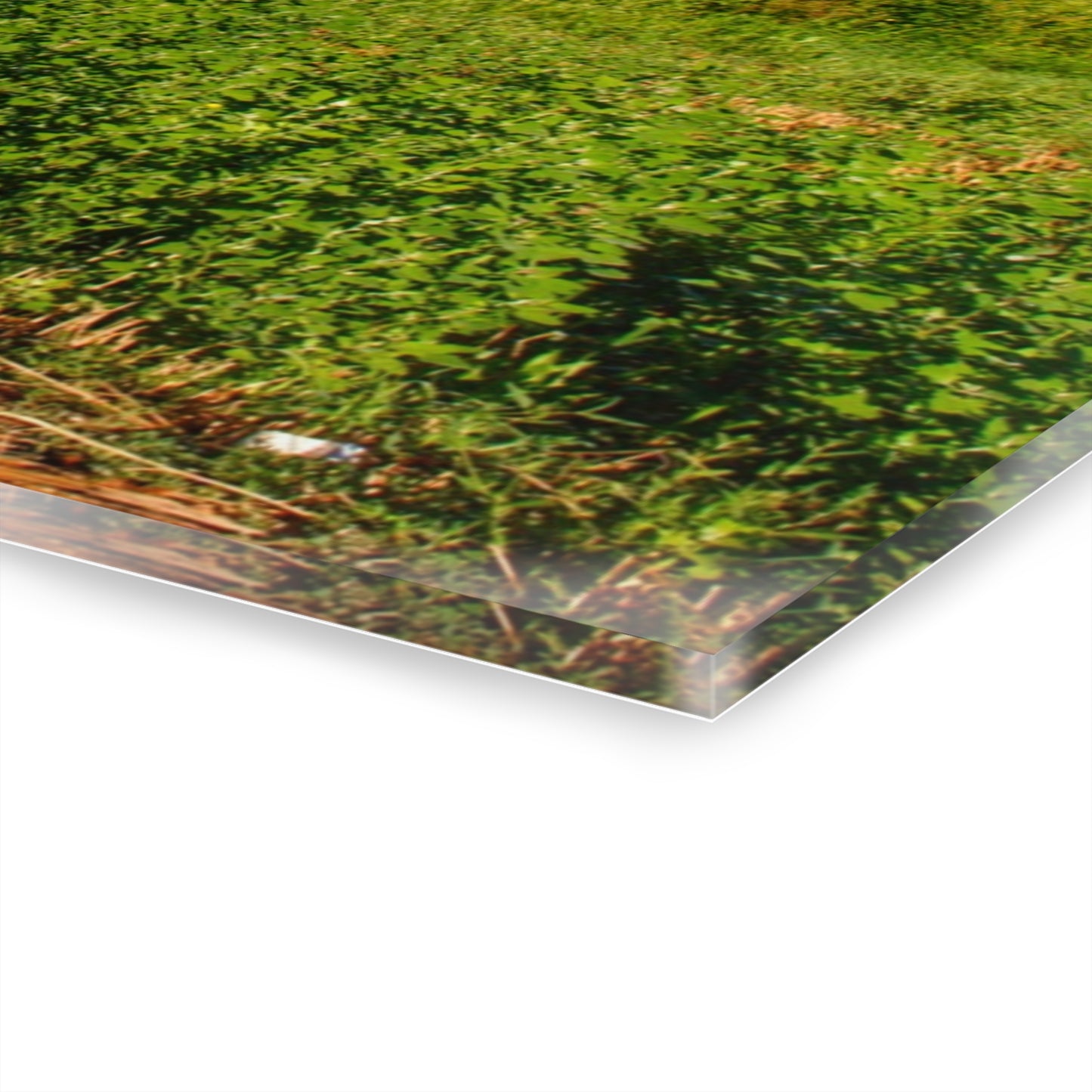 U R There Photography Kidder Road Blues I Rustic Farmhouse Acrylic Wall Print