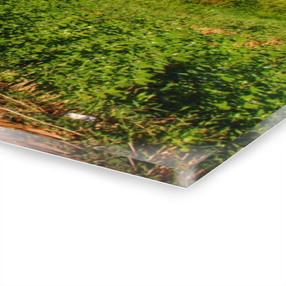 U R There Photography Kidder Road Blues I Rustic Farmhouse Acrylic Wall Print