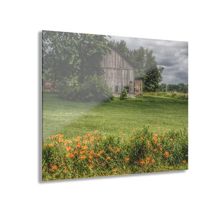 U R There Photography Millington Road Lilly Grey Rustic Farmhouse Acrylic Wall Print