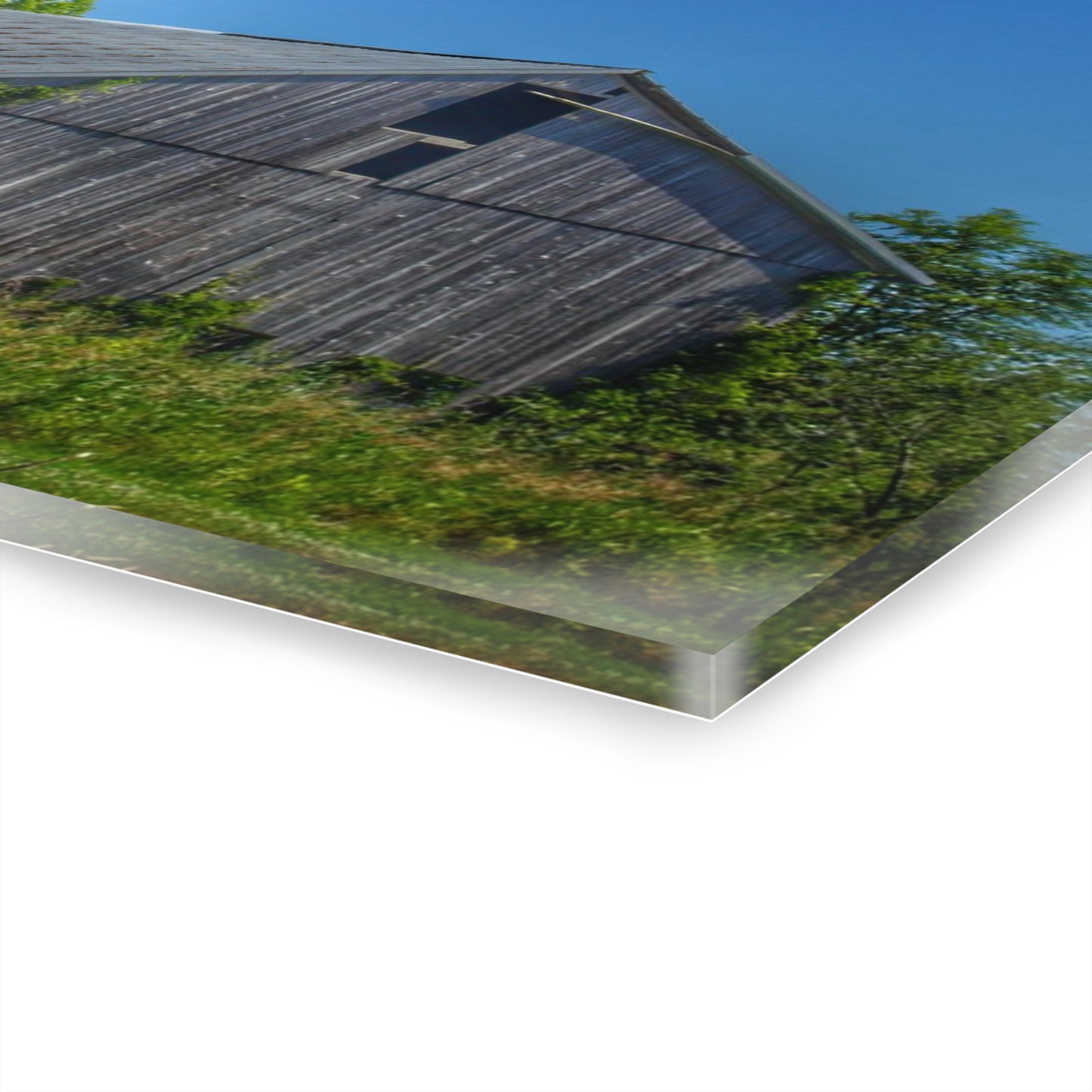 U R There Photography East Swaffer Grey and Little Red Rustic Farmhouse Acrylic Wall Print 14 "x 11"