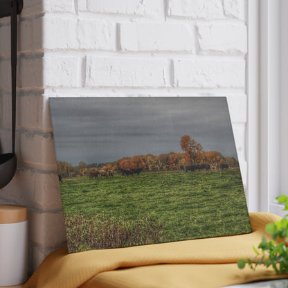 U R There Photography Oak Cows Rustic Farmhouse Tempered-Glass Cutting Board 8"x 11"