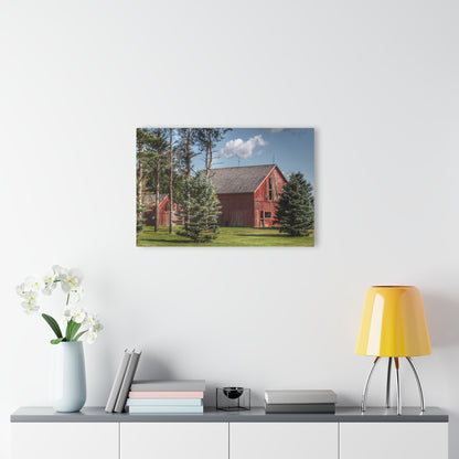 U R There Photography Havens Road Red Among the Pines Rustic Farmhouse Acrylic Wall Print