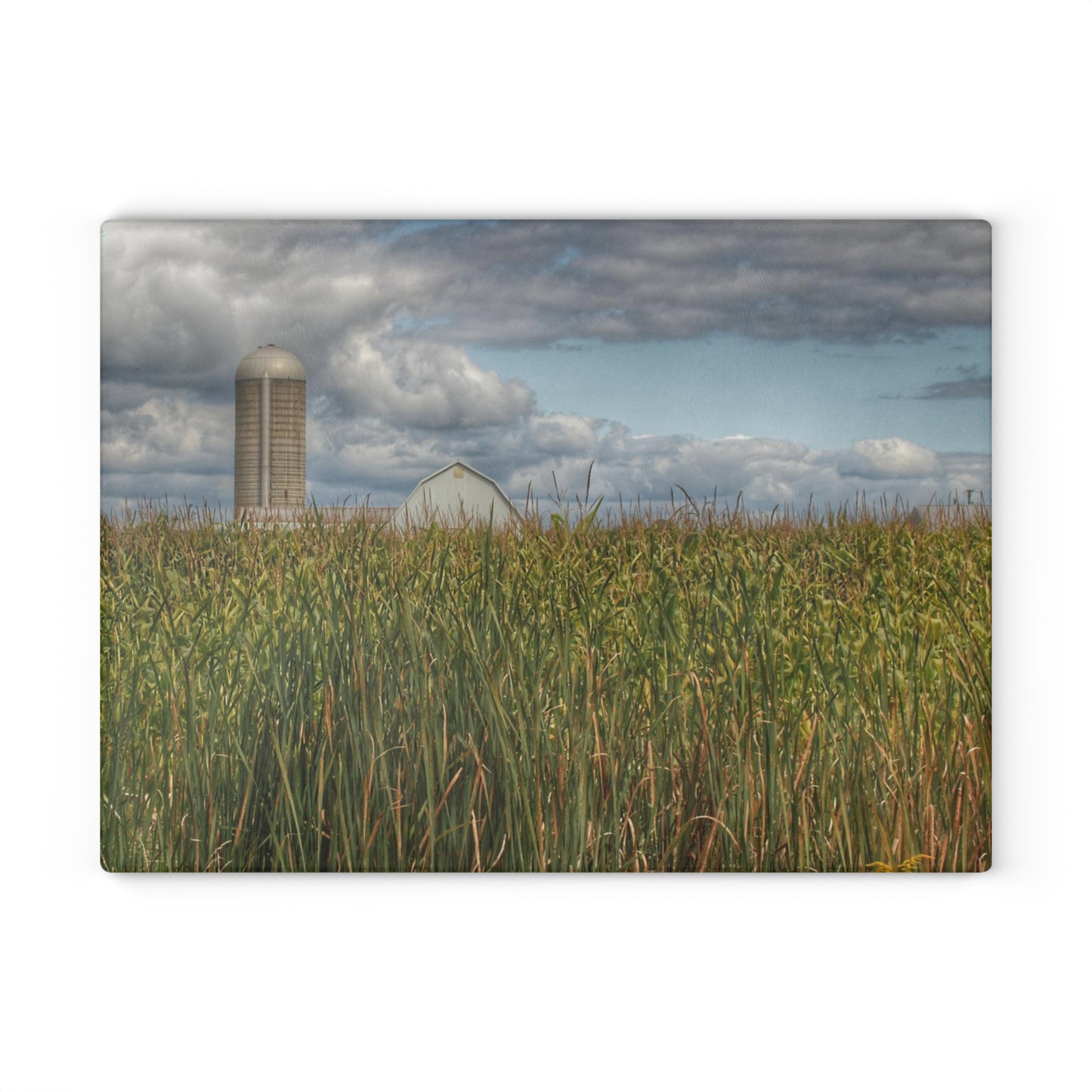U R There Photography Overlooking a Cornfield Rustic Farmhouse Tempered-Glass Cutting Board