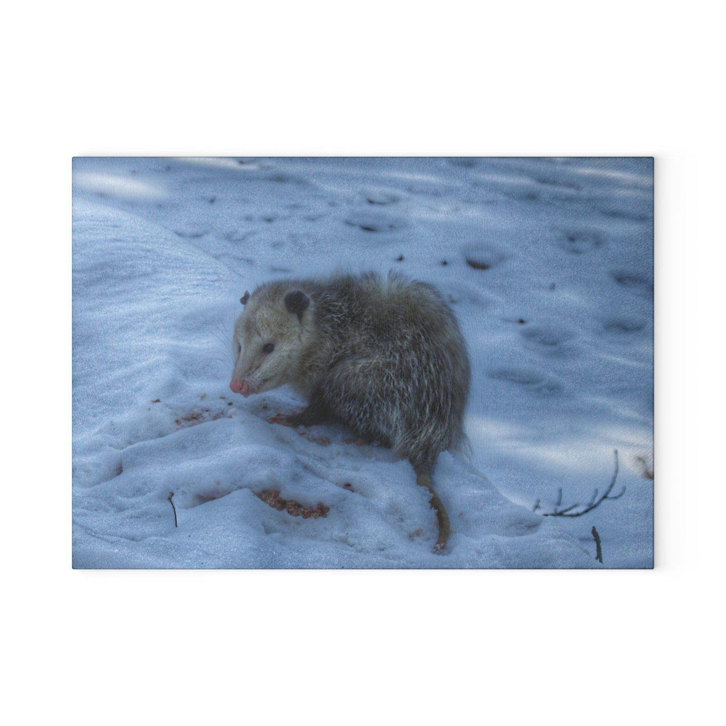 U R There Photography Sutton Road Possum Rustic Farmhouse Tempered-Glass Cutting Board