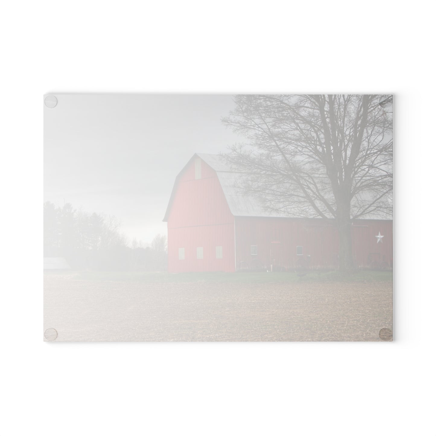 U R There Photography South Summers Road Star Barn Rustic Farmhouse Tempered-Glass Cutting Board