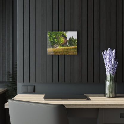 U R There Photography Lum Hidden Fieldstone Red Rustic Farmhouse Acrylic Wall Print