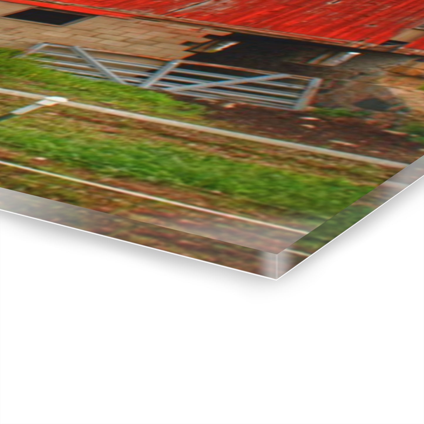 U R There Photography Elba Road Red III Rustic Farmhouse Acrylic Wall Print