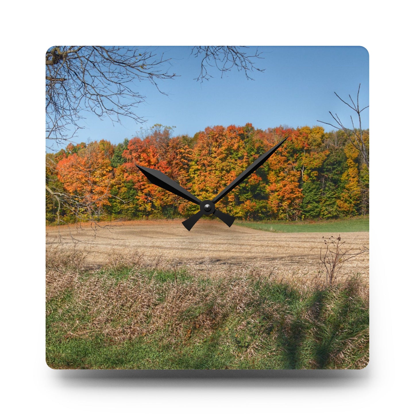 U R There Photography Fall on Piersonville Road Rustic Farmhouse Acrylic Analog Wall Clock