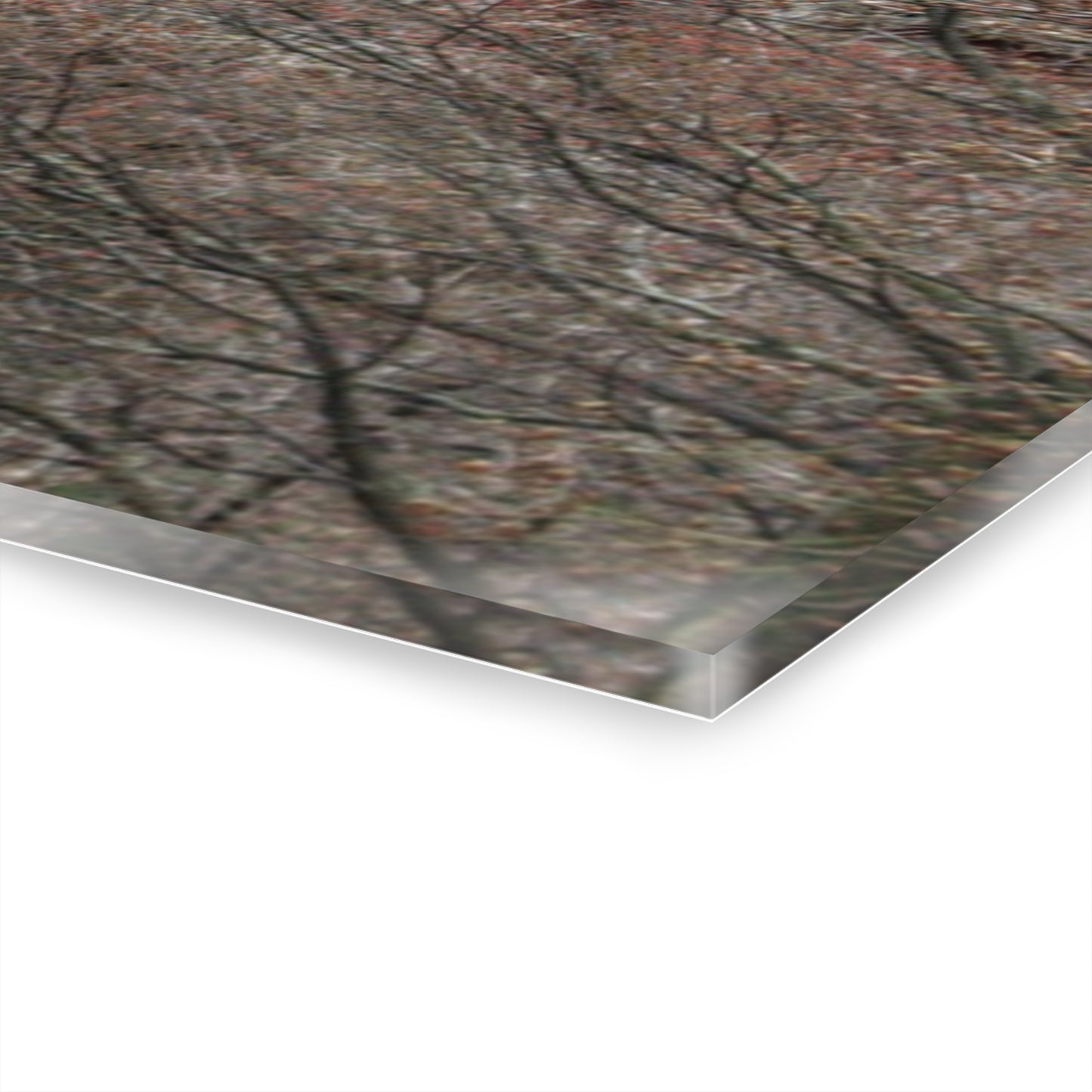 U R There Photography Morris Road Hidden Rustic Farmhouse Acrylic Wall Print