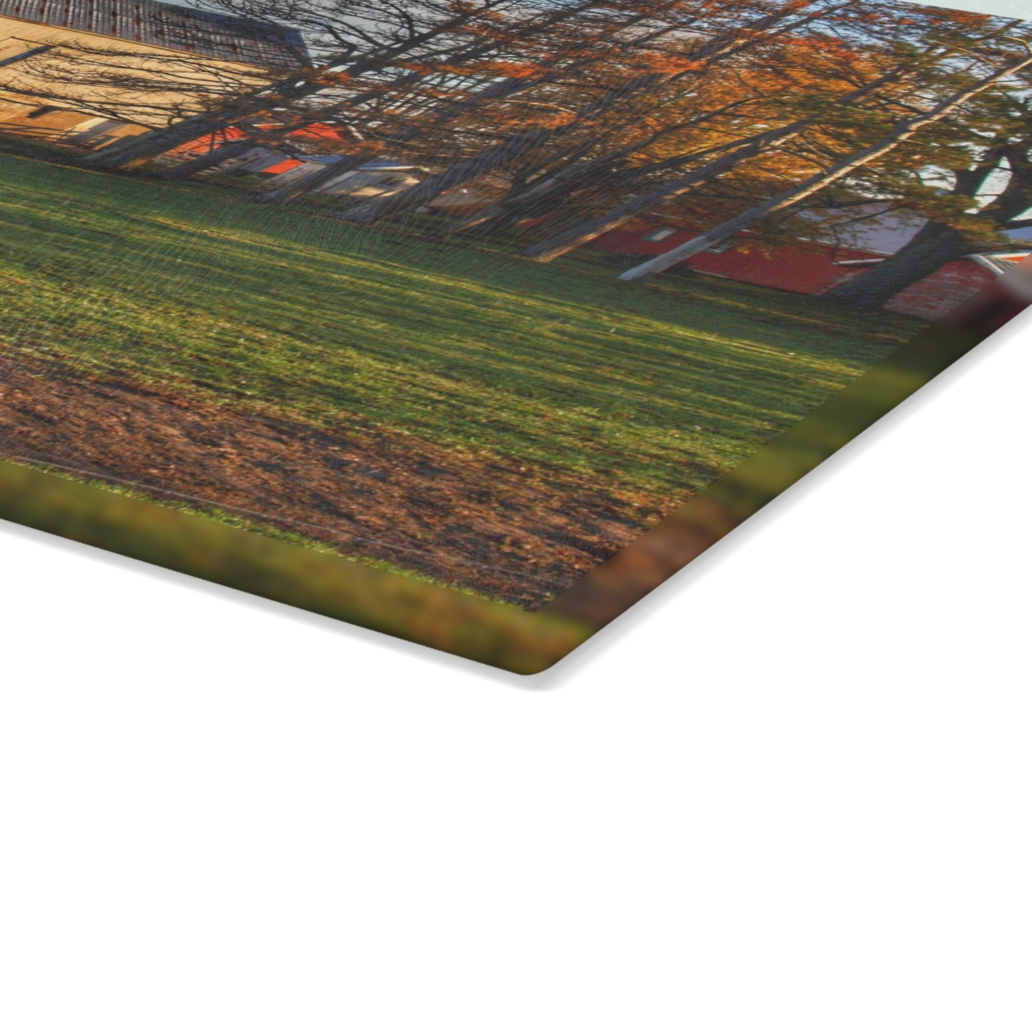 U R There Photography Peck Road White Rustic Farmhouse Tempered-Glass Cutting Board