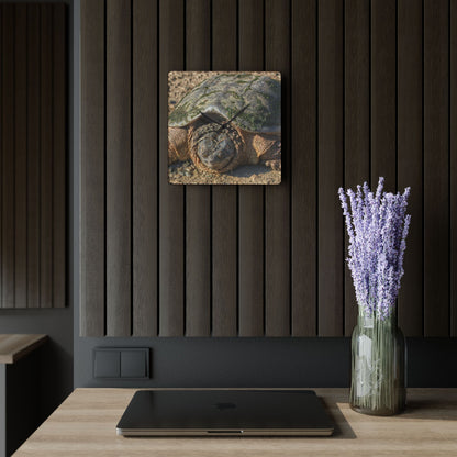 U R There Photography Fargo Road Turtle Rustic Farmhouse Acrylic Analog Wall Clock