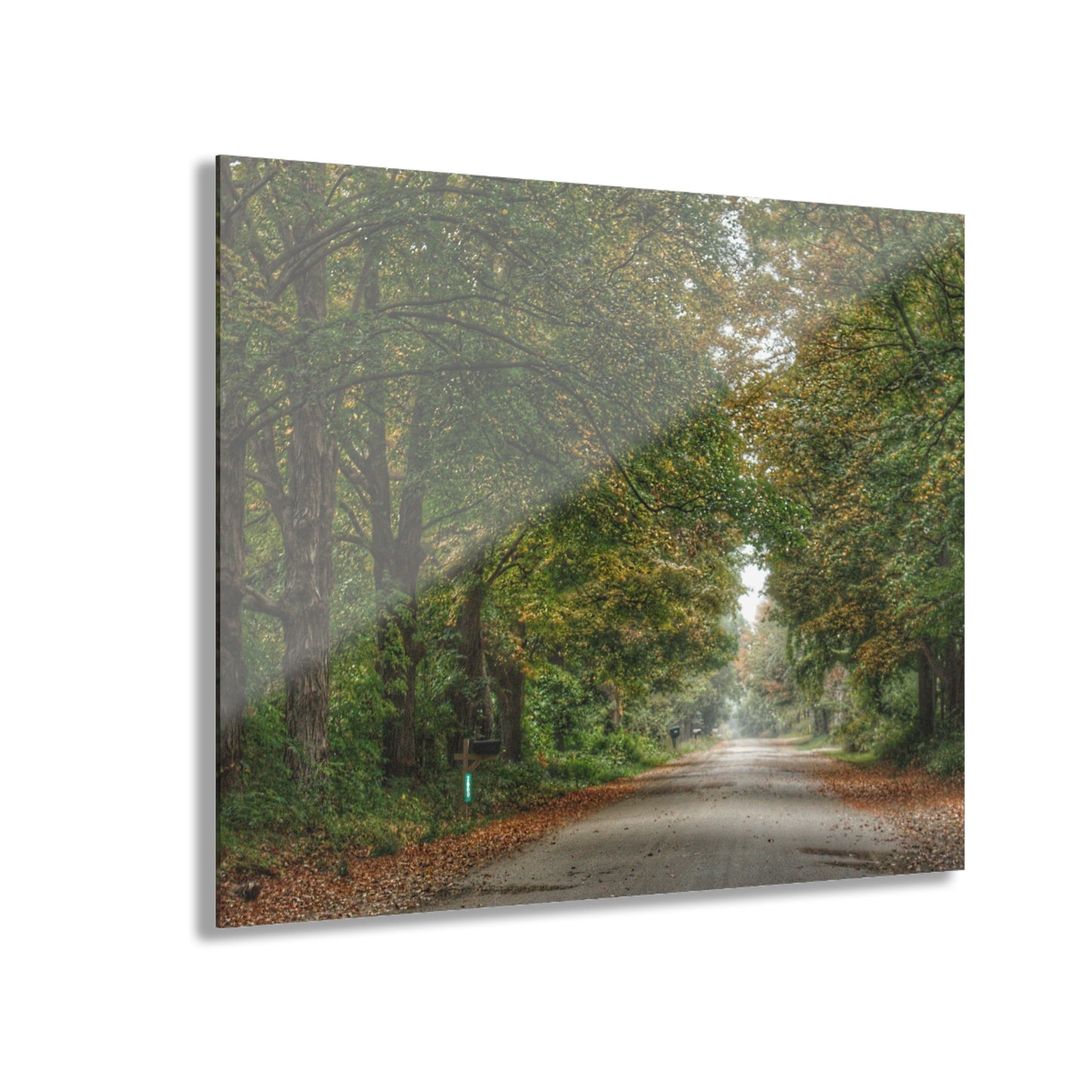 U R There Photography Country Roads in Millington Rustic Farmhouse Acrylic Wall Print