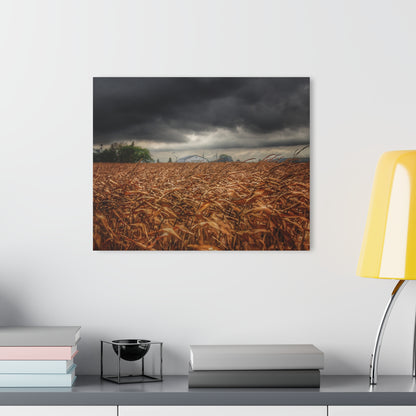 U R There Photography Garner Road Hidden White Rustic Farmhouse Acrylic Wall Print