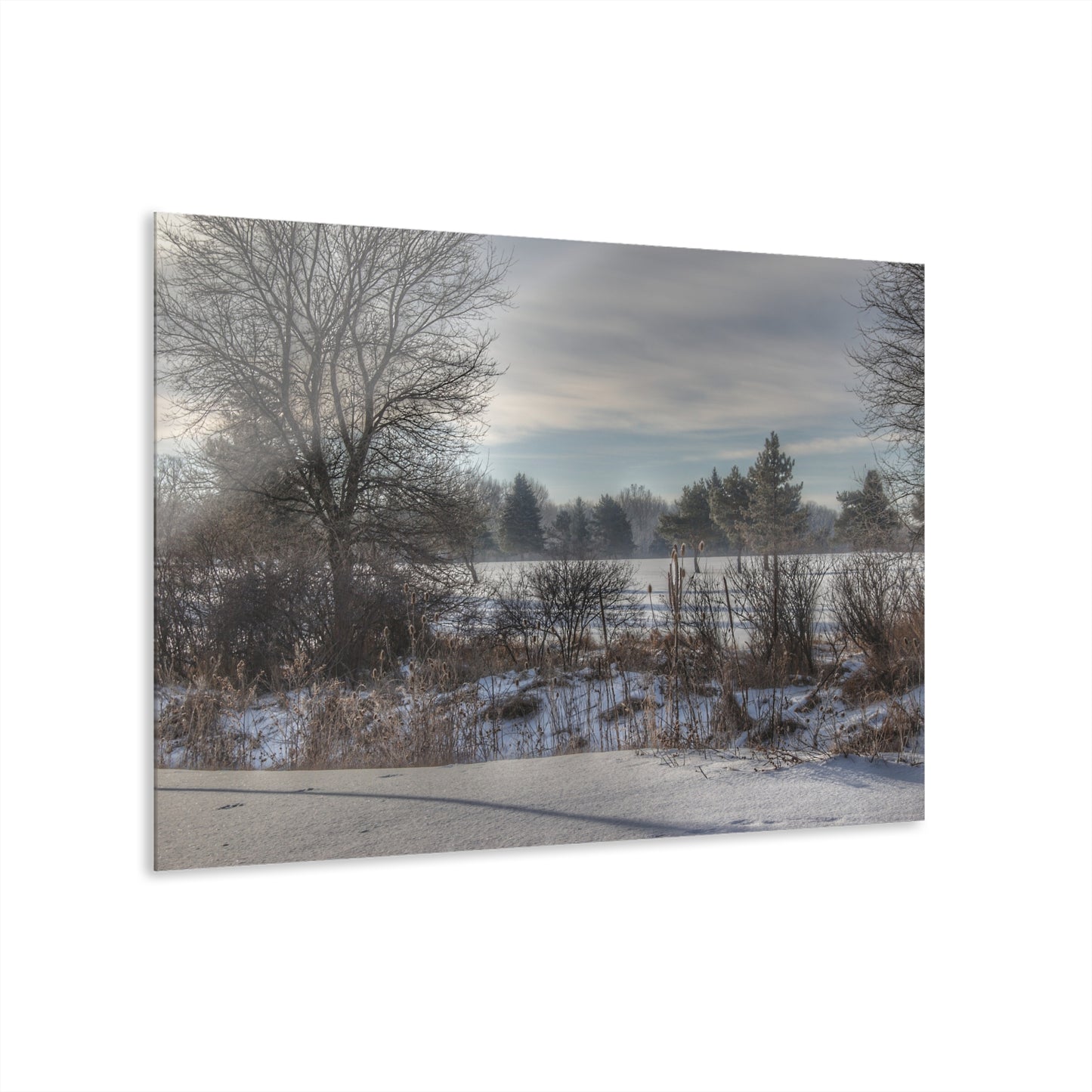 U R There Photography Across Barnes Road Frozen Cornfield Rustic Farmhouse Acrylic Wall Print