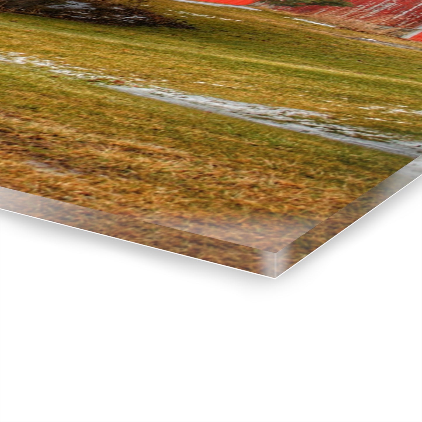 U R There Photography Laur Road Red Among the Pines III Rustic Farmhouse Acrylic Wall Print