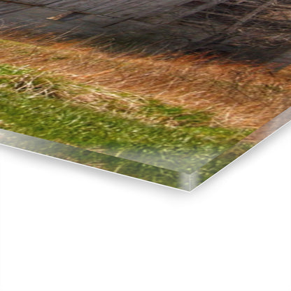 U R There Photography Metamora M-24 Grey III Rustic Farmhouse Acrylic Wall Print