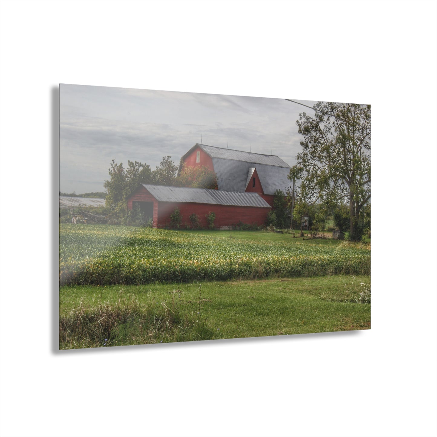 U R There Photography West Dodge Road Reds Rustic Farmhouse Acrylic Wall Print