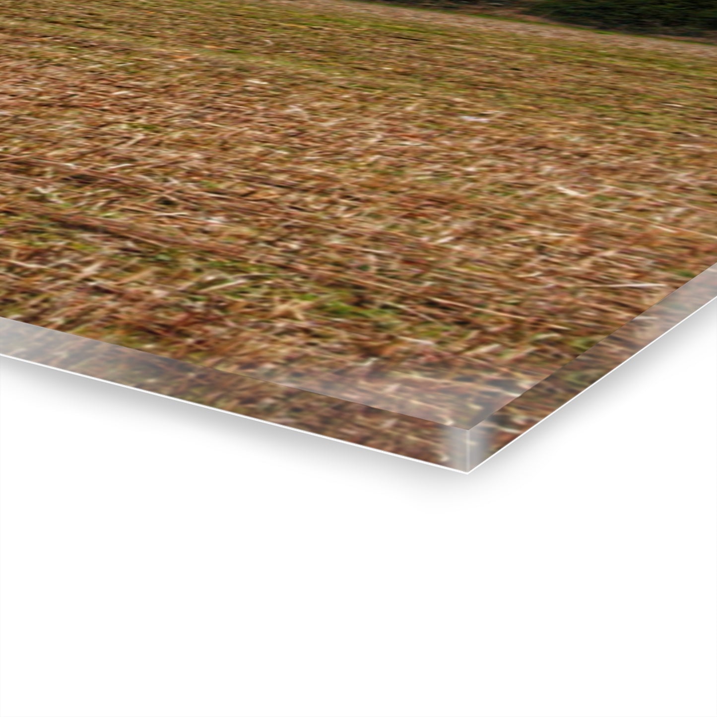 U R There Photography Kidder Road Reds Rustic Farmhouse Acrylic Wall Print