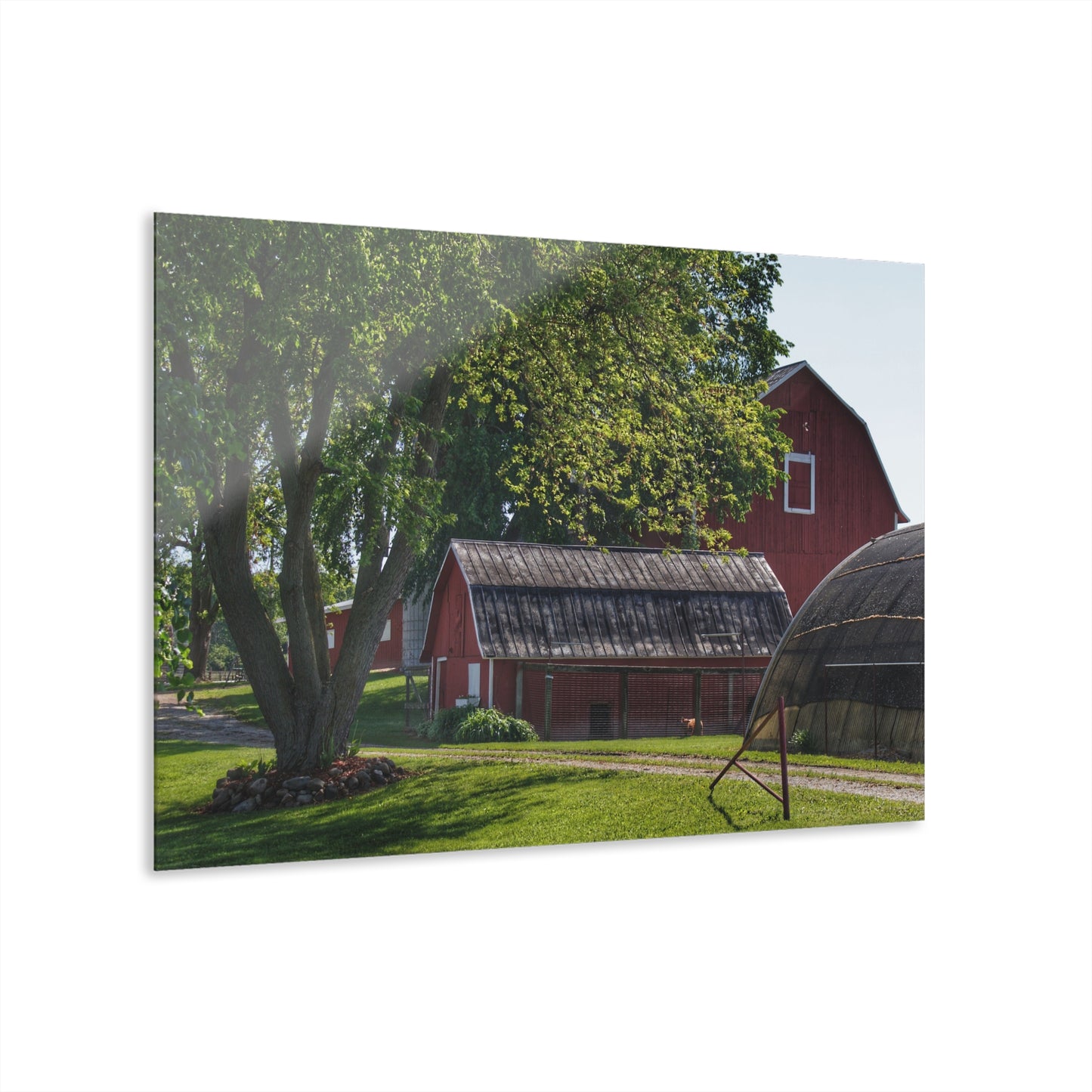 Barn Boutique Modern Farmhouse Acrylic Wall Print| Hidden Red I