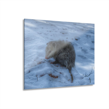 U R There Photography Sutton Road Possum Rustic Farmhouse Acrylic Wall Print