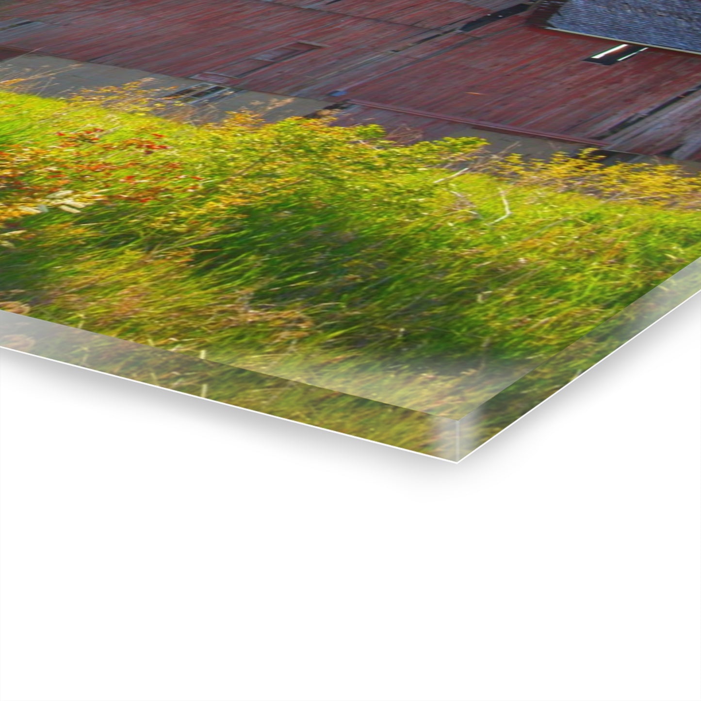 U R There Photography Leslie Road Red II Rustic Farmhouse Acrylic Wall Print