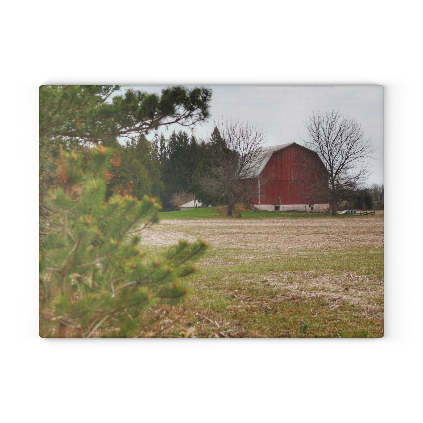 U R There Photography Hidden Millington Road Red Rustic Farmhouse Tempered-Glass Cutting Board