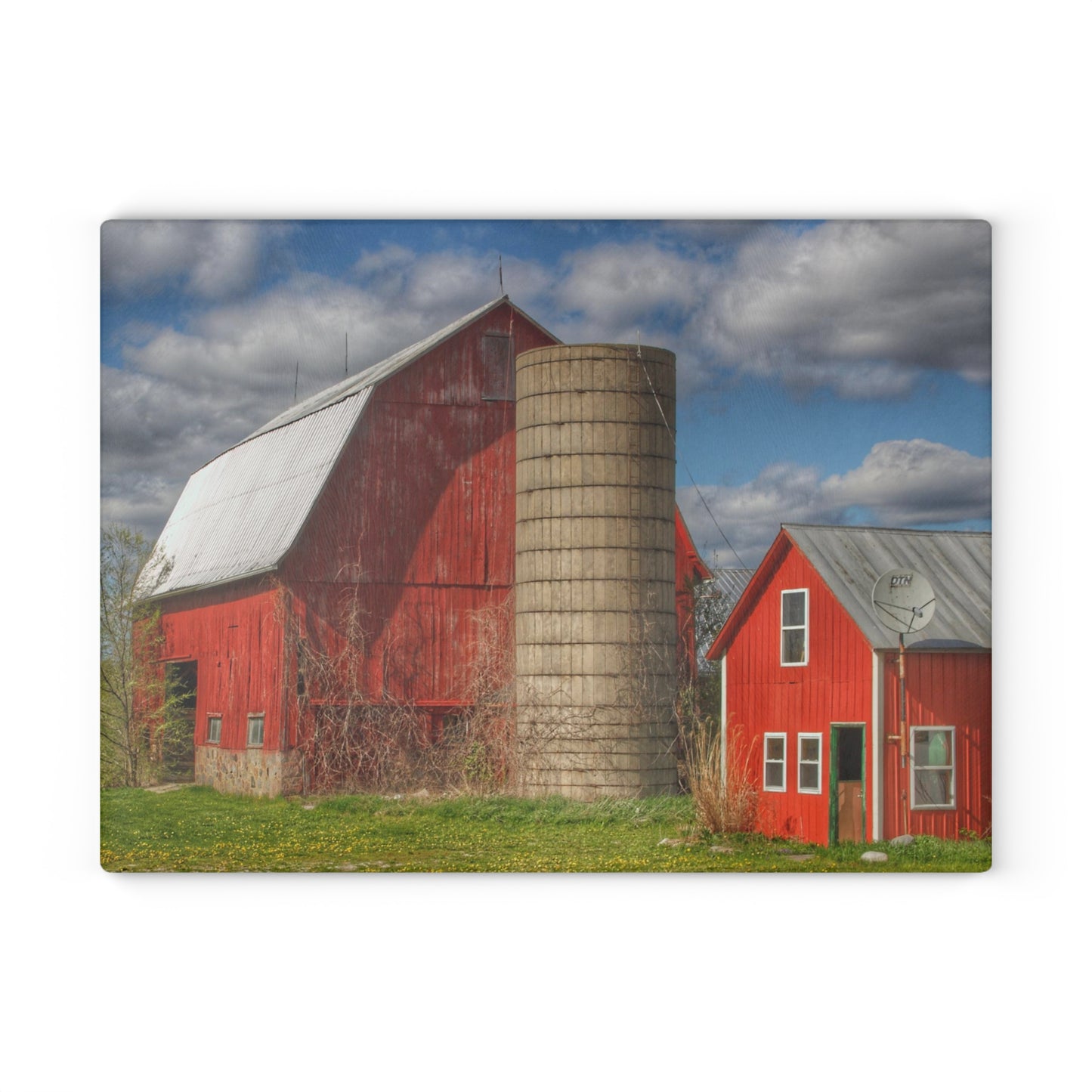U R There Photography McDowell Road Reds I Rustic Farmhouse Tempered-Glass Cutting Board