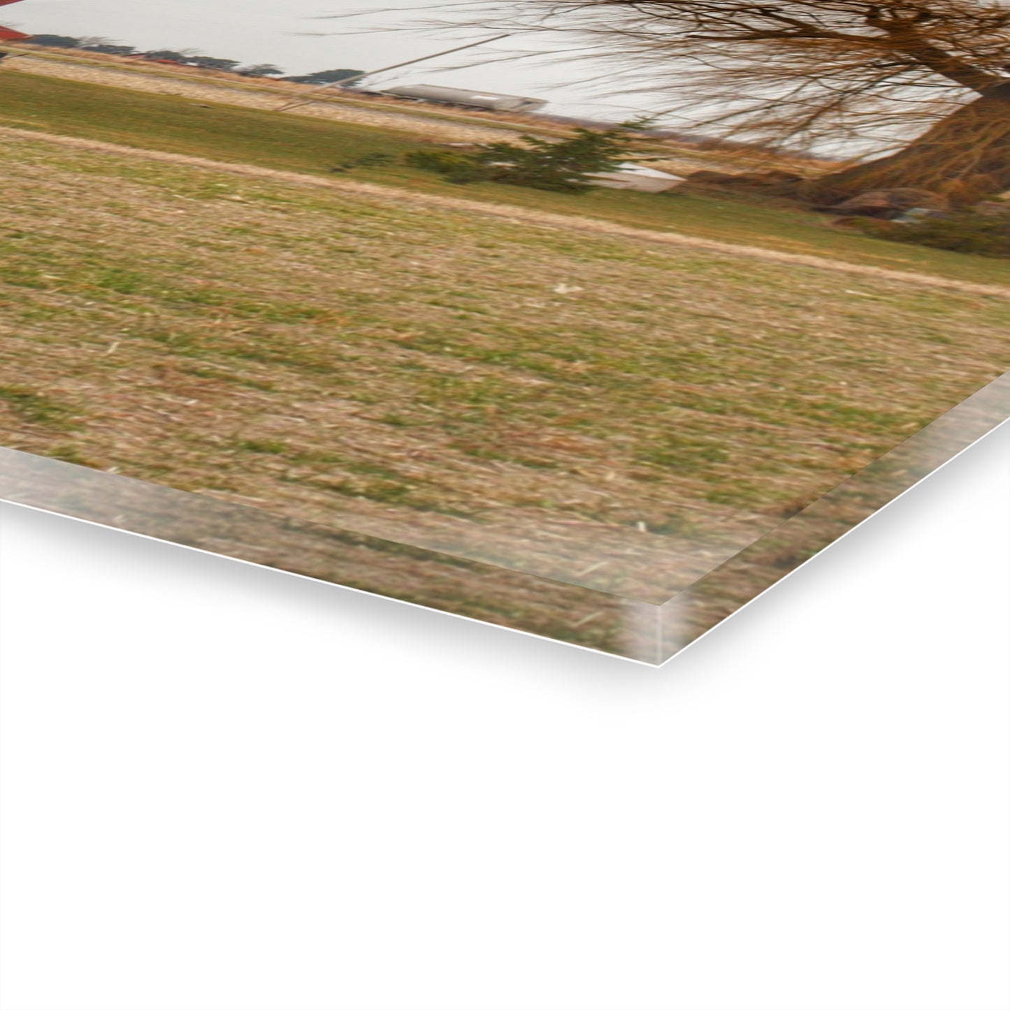 U R There Photography Loomis Road Red Rustic Farmhouse Acrylic Wall Print