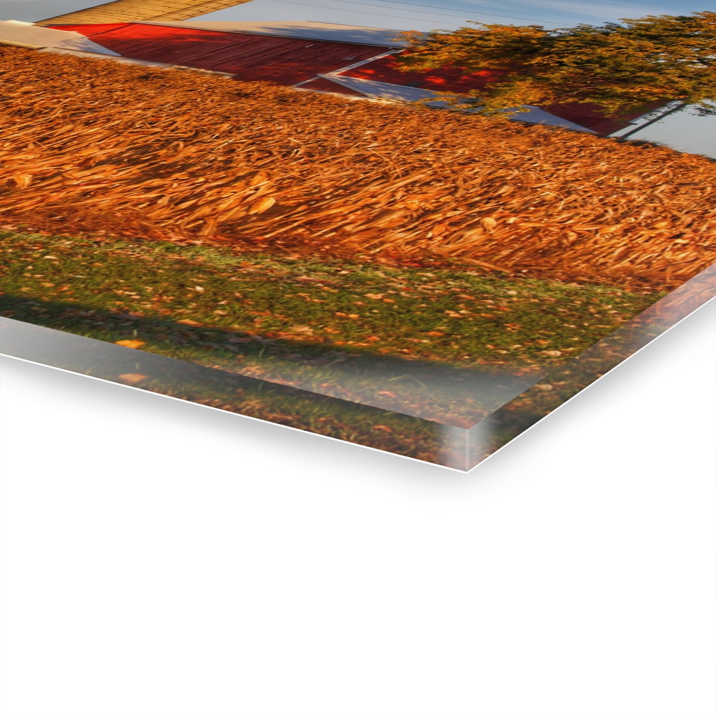 U R There Photography Lake Pleasant Reds I Rustic Farmhouse Acrylic Wall Print